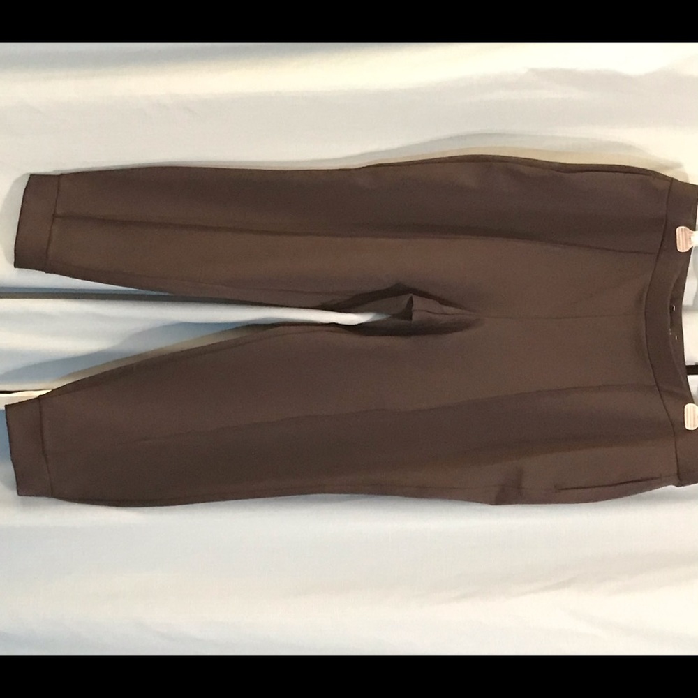 Express Jogger Style Ankle Dress Pants